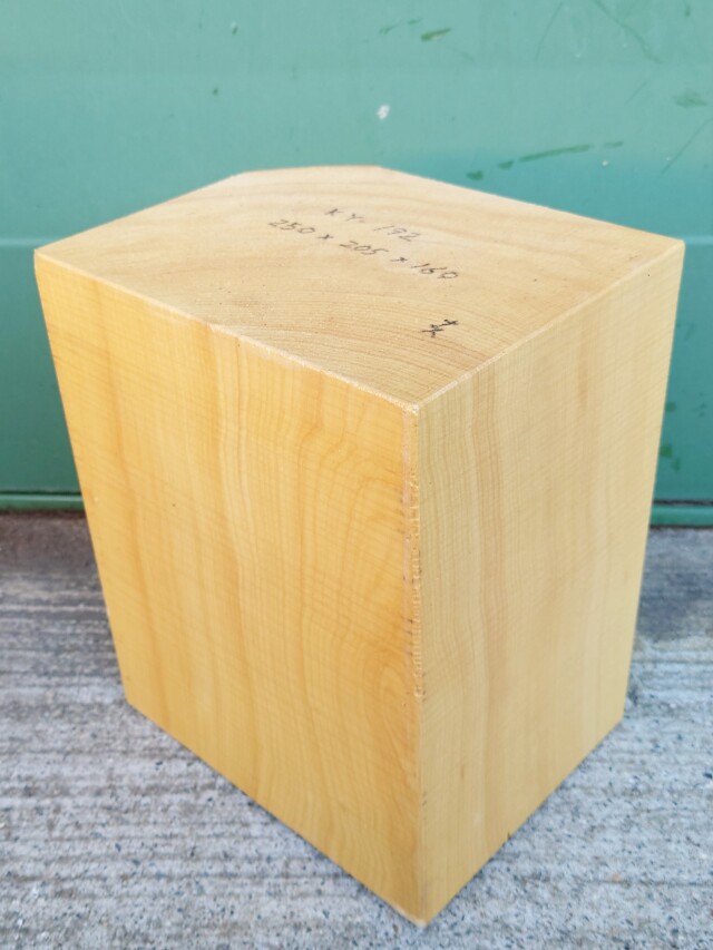 ＫY-１９２　榧カヤかや　国産　彫刻用材　２５０×２０５×１６０【天然乾燥材】