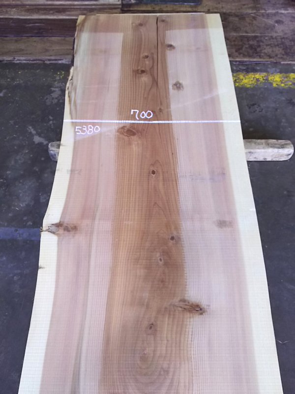 S-229 杉スギすぎ 国産 天然耳付き板 6000×700 天然乾燥材