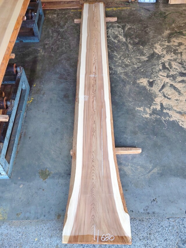 S-２６６　杉スギすぎ　国産　長尺カウンター天板厚板　４８５０×５００【天然乾燥材】