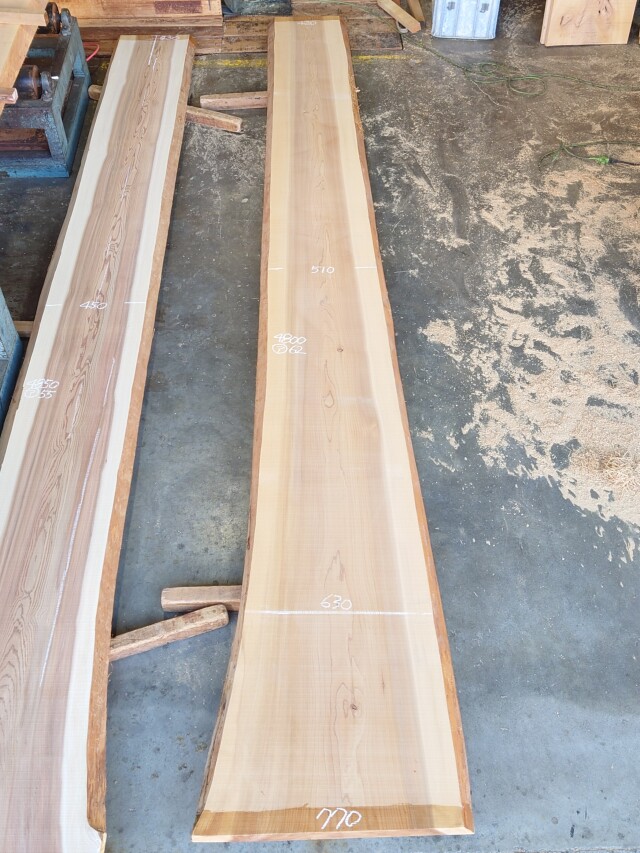 S-２６７　杉スギすぎ　国産　長尺カウンター天板厚板　４８００×６００【天然乾燥材】