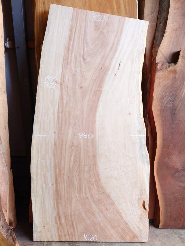 ＴＴ-２２５　栃トチノキ　国産　天然耳付き板　１９００×９５０　表面電気カンナ済【天然乾燥材】