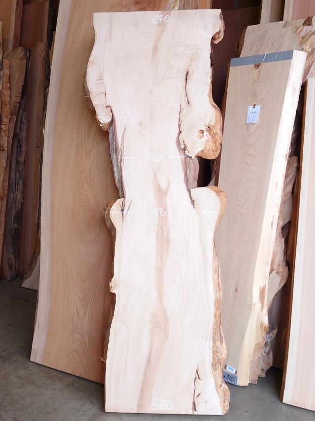 ＴＴ-２３６　栃トチノキ　国産　天然耳付き板　２０１０×６００　【プレーナー済】【天然乾燥材】