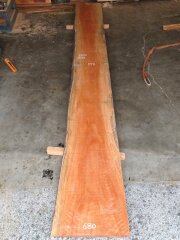 ＢＳ-１０１　アフリカンチェリー（ボセ）　片耳付き　５２５０×６５０【天然乾燥材】アウトレット品