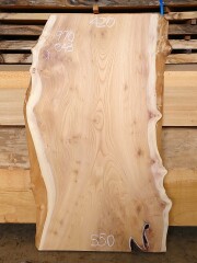 Ｋ-９０７　欅ケヤキ　国産　看板用板　９７０×５５０【仕上げ加工済】【天然乾燥材】