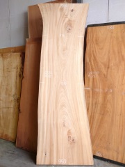 ＫＳ-６０６　楠クスノキ　国産　テーブル用天然耳付き板　２７５０×９００【天然乾燥材】