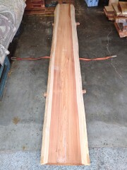 天然杉カウンター材　ウレタン塗装済 株式会社 谷口銘木 卸 小売 通信販売(オンラインショップ) / 杉