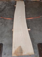 SN-１２１　栓センノキ　天然耳付き板　４０８０×６５０　 天然乾燥材