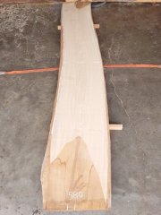 SN-１２２　栓センノキ　天然耳付き板　４０８０×６５０　 天然乾燥材