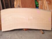 SN-１２５　栓センノキ　天然耳付き板　１５２０×７００　 天然乾燥材