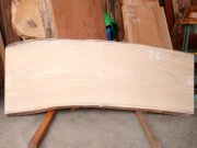 SN-１２７　栓センノキ　天然耳付き板　１６００×６００　 天然乾燥材