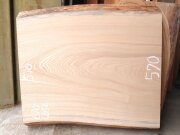 SN-１２８　栓センノキ　天然耳付き板　６７０×６００　 天然乾燥材　電気カンナ済