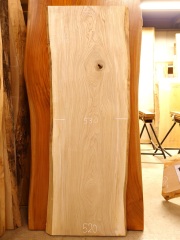 SN-１３１　栓センノキ　天然耳付き板　１６２０×６００　 電気カンナ済【天然乾燥材】　