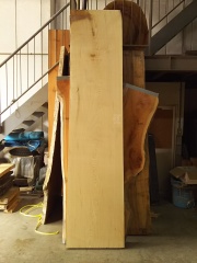 ＳＮ-２０１　センノキ　３０００×６９０ 天然乾燥材