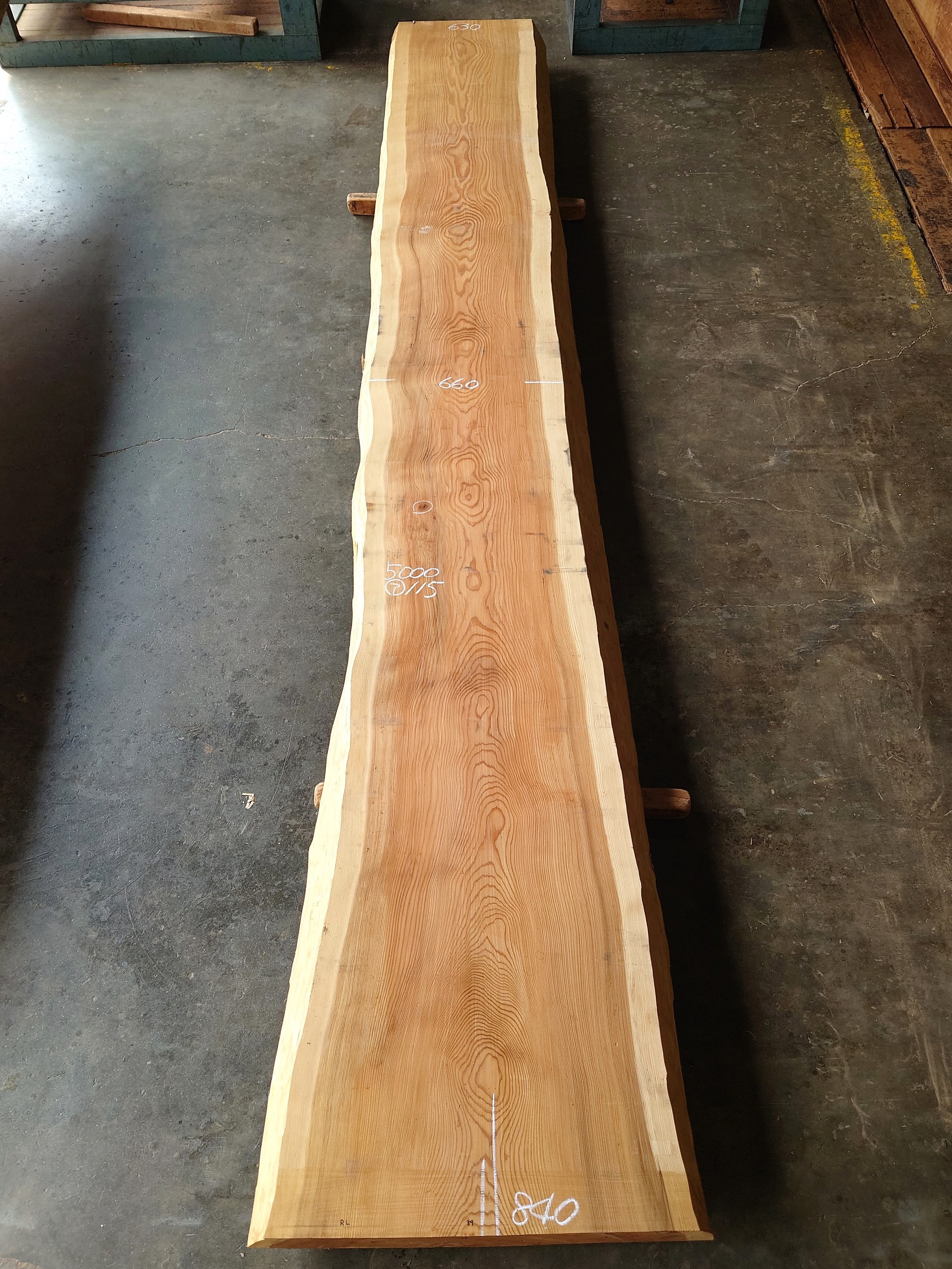 S-２６２　杉スギすぎ　国産　長尺カウンター天板厚板　５０００×６５０【天然乾燥材】