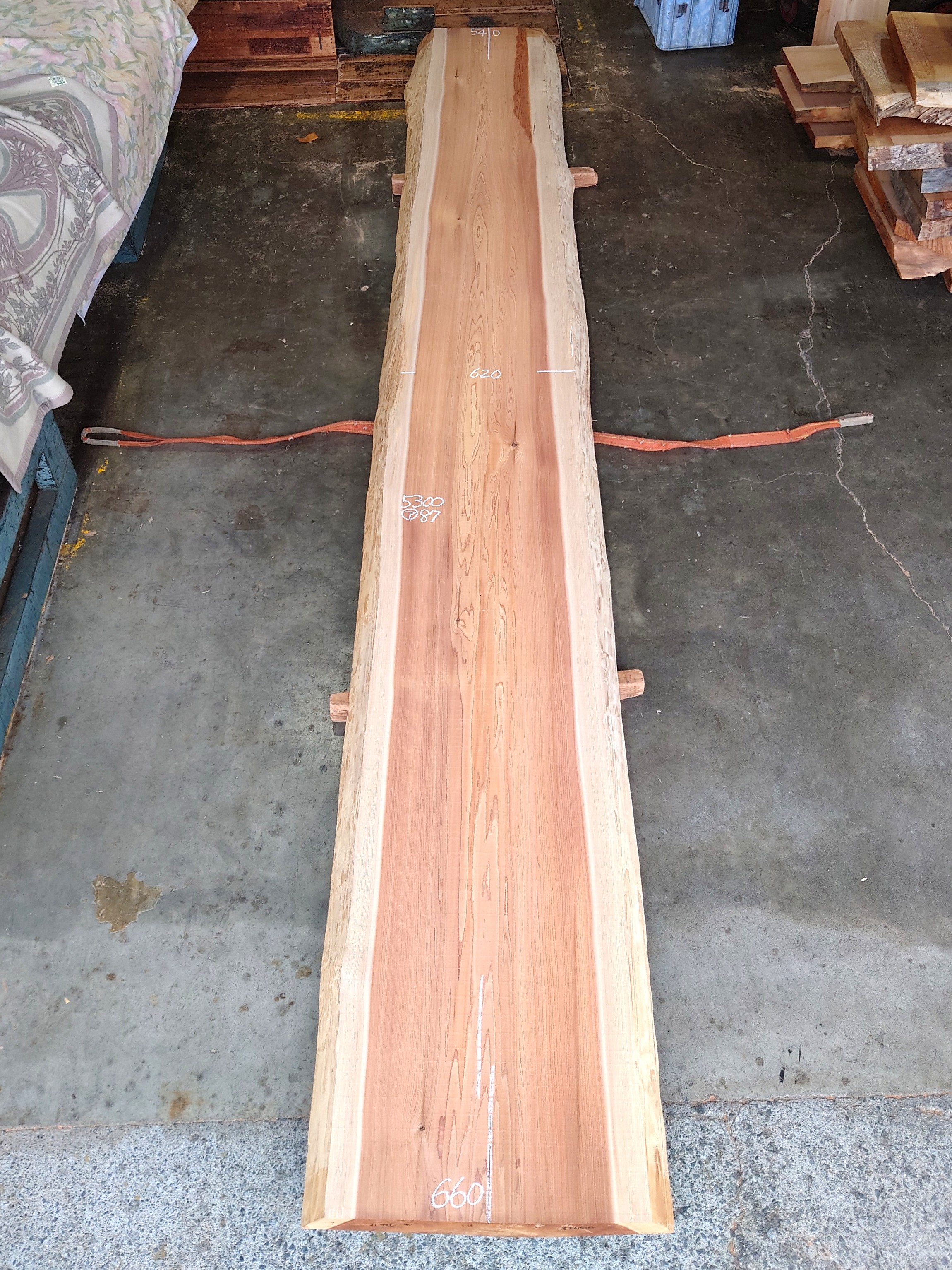 S-２６４　杉スギすぎ　国産　長尺カウンター天板厚板　５３００×６５０【天然乾燥材】