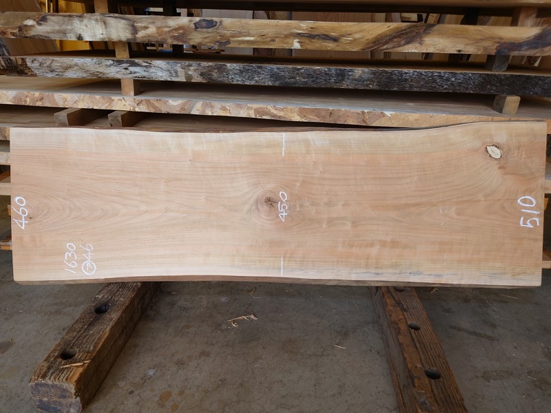 SA-２１１　真桜（マサクラ）　国産　天然耳付き板　１６３０×５００　電気カンナ加工【天然乾燥材】　