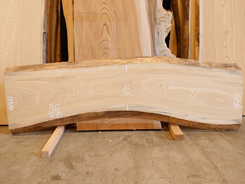 SN-１２９　栓センノキ　天然耳付き板　１８２０×５００　 天然乾燥材　電気カンナ済