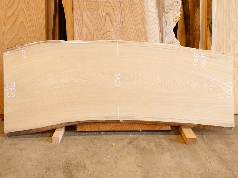 SN-１３０　栓センノキ　天然耳付き板　１６００×６００　 天然乾燥材　電気カンナ済