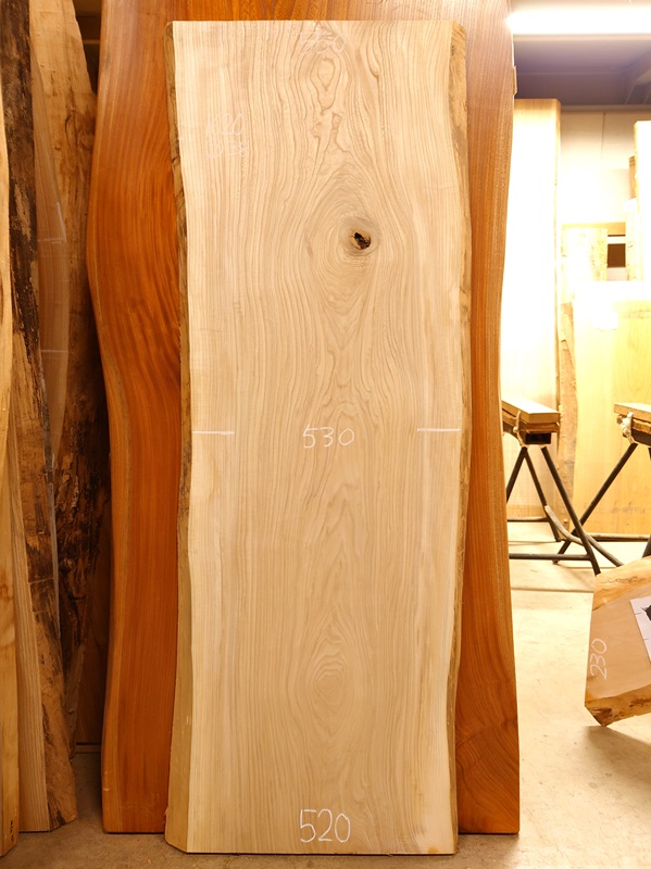 SN-１３１　栓センノキ　天然耳付き板　１６２０×６００　 電気カンナ済【天然乾燥材】　