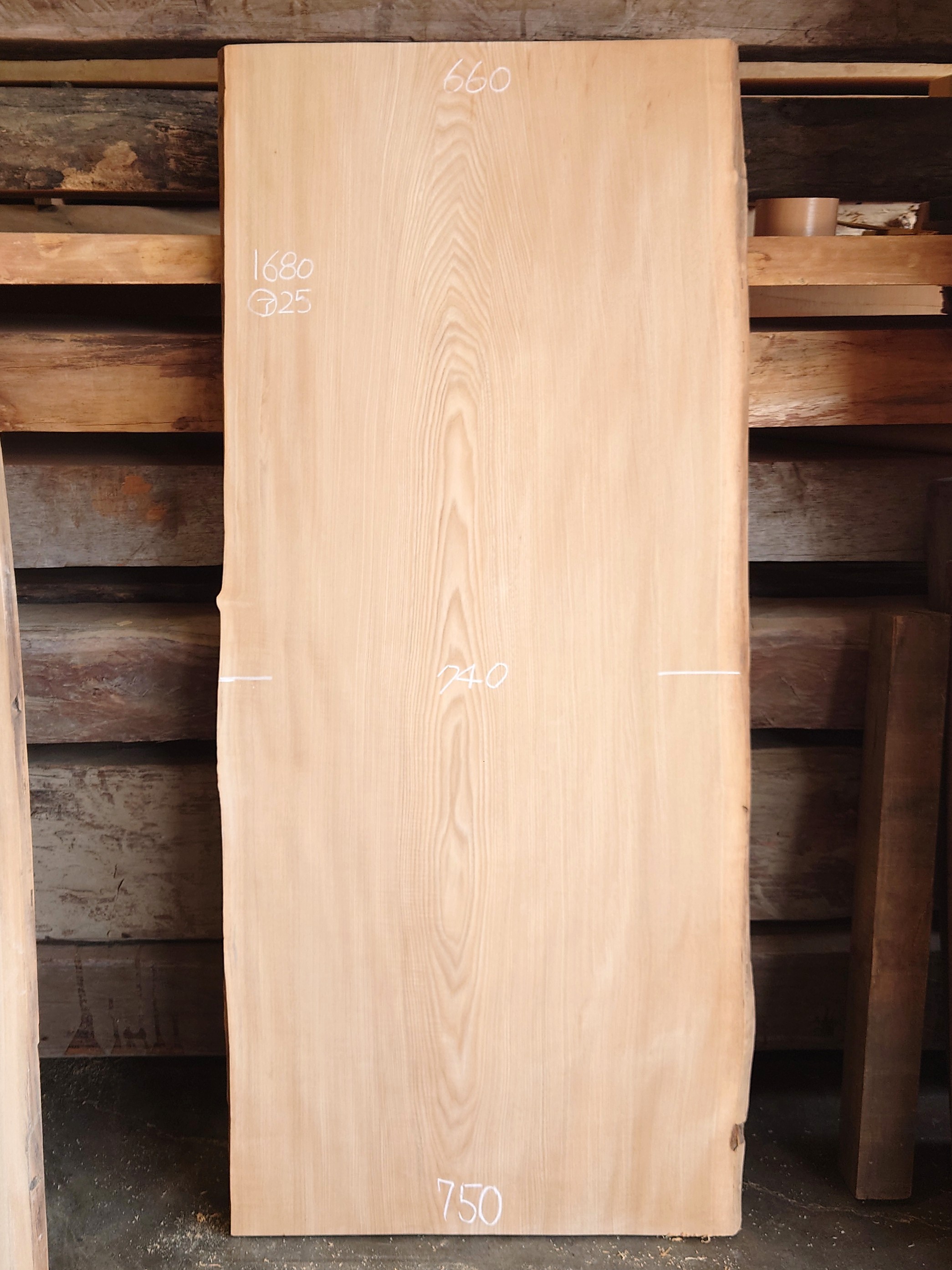 SN-１３５　栓センノキ　北海道産　白木天然耳付き板　１６８０×７５０【仕上げ加工済】　【40年天然乾燥材】　