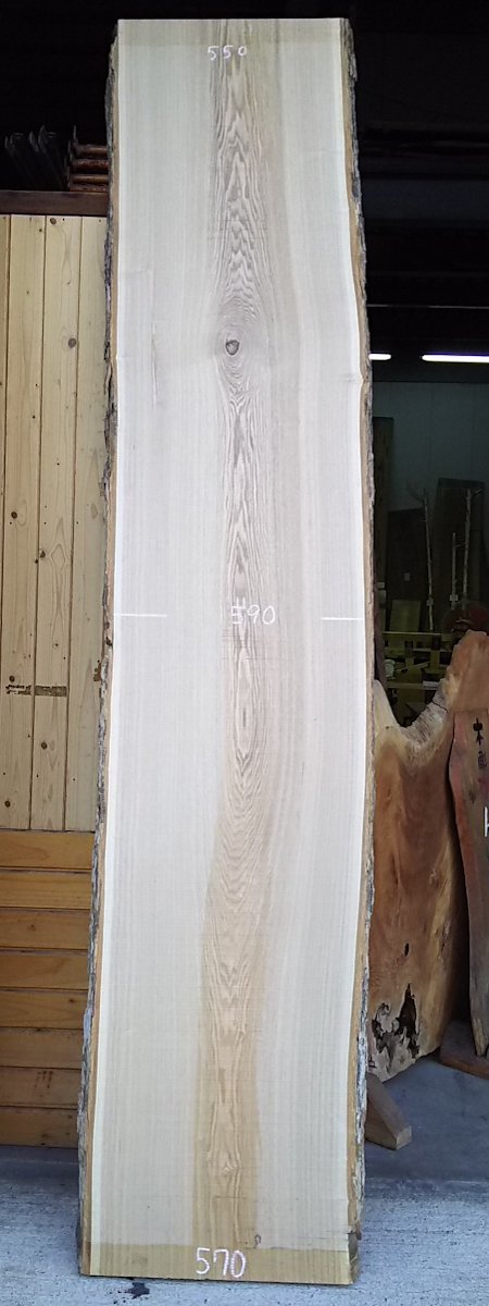 ＴＭ-192　タモ　天然耳付き板　2950×550