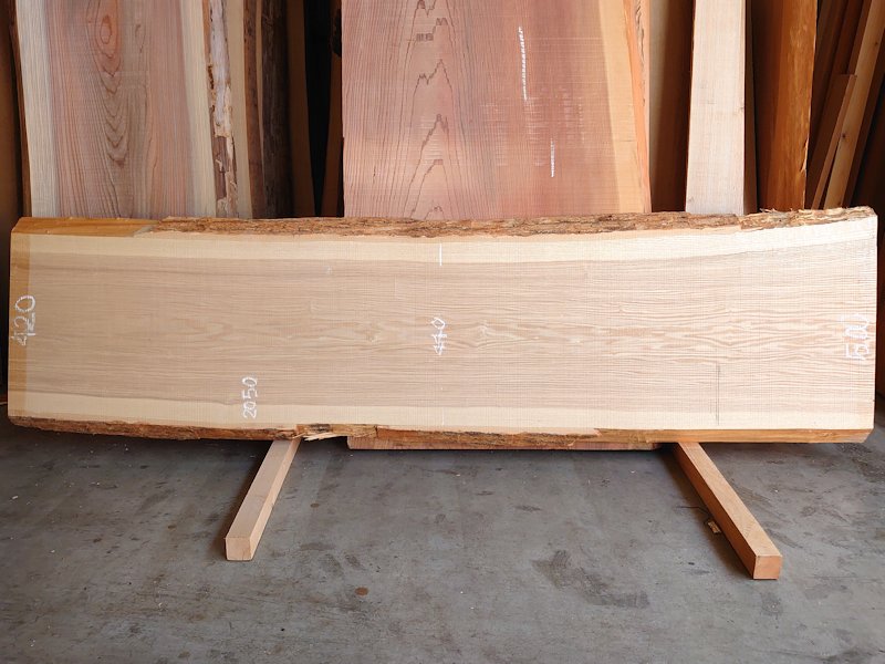 ＴＭ-２１６　タモ　天然耳付き板　２０５０×５５０　 天然乾燥材