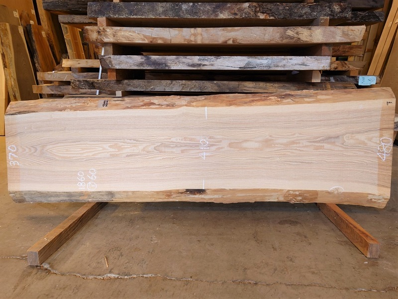 ＴＭ-２２１　タモ　天然耳付き板　１８６０×５００【天然乾燥材】