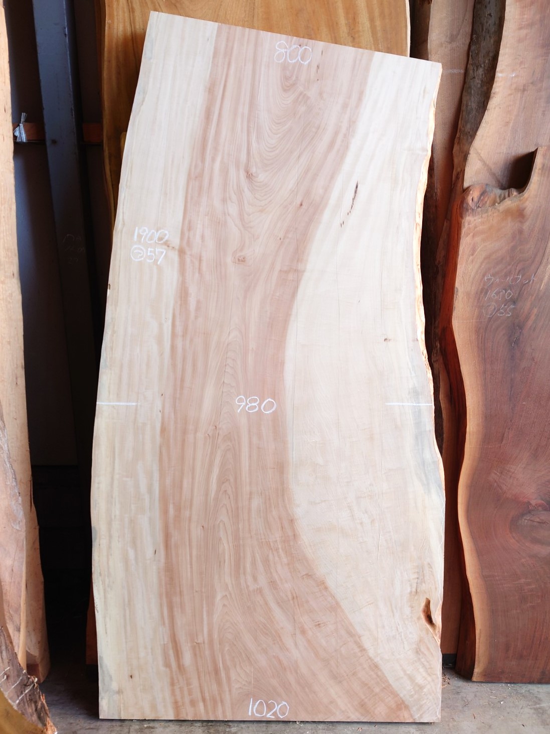 ＴＴ-２２５　栃トチノキ　国産　天然耳付き板　１９００×９５０　表面電気カンナ済【天然乾燥材】