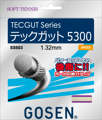 ゴーセン　TECGUT5300　テックガット5300