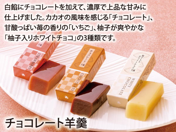 チョコレート羊羹_説明