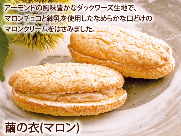 繭の衣(マロン)_説明