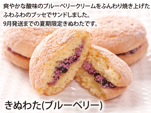 きぬわた(ブルーベリー)_説明