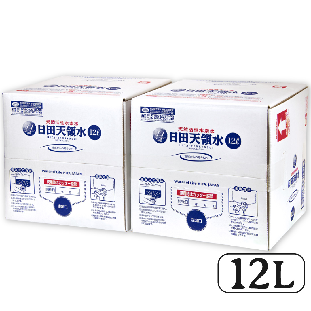 バッグインボックス12L