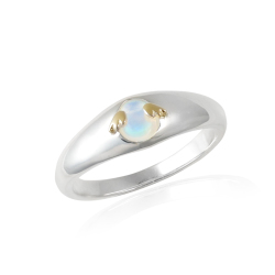 ten2145_720.jpg?t=20210921132858 