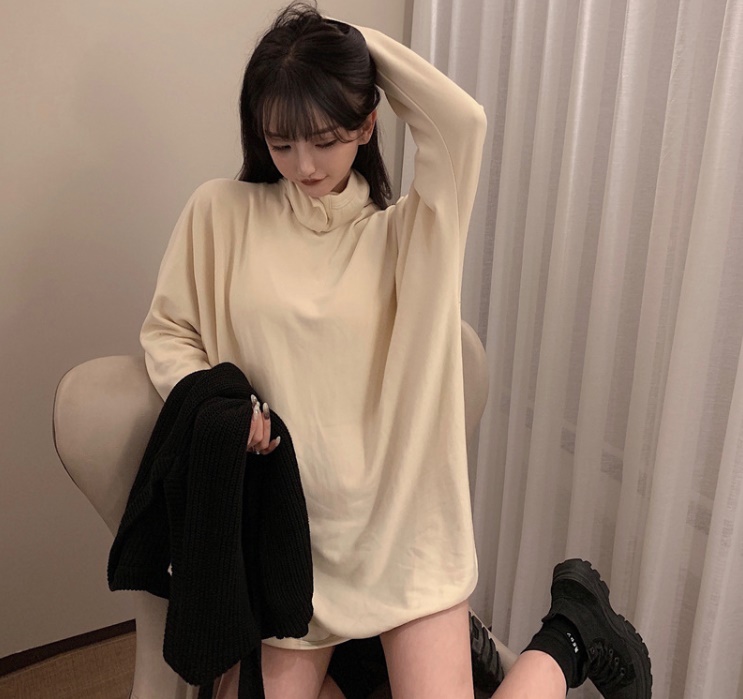 レディース 長袖 トップス 白 ハイネック 韓国 可愛い レース 大人 レディース 春 夏 秋 韓国 オルチャン 衣装 ネコポス可能 返品交換不可 エンジェルローブヴィセ ヴィセ visee