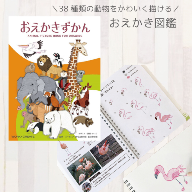 図鑑 絵本 お絵描き 38種類 動物 おえかきずかん 子供 プレゼント ギフト ネコポス可能 返品交換不可