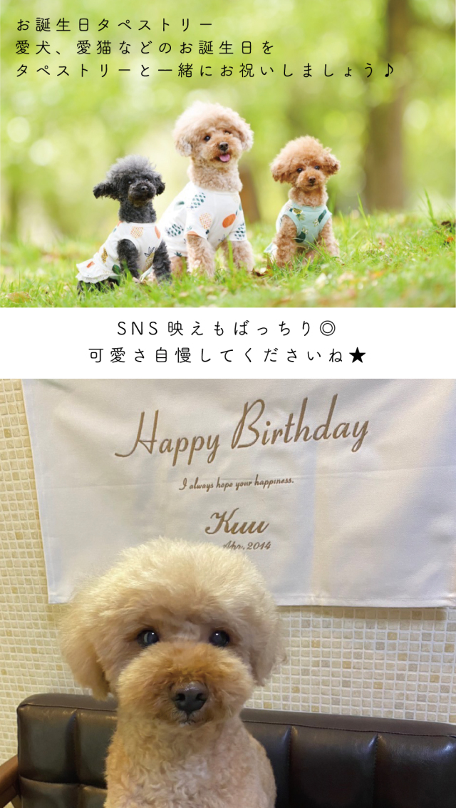 タペストリー 誕生日 バースデー 飾り ペット 犬 猫 うさぎ 愛犬