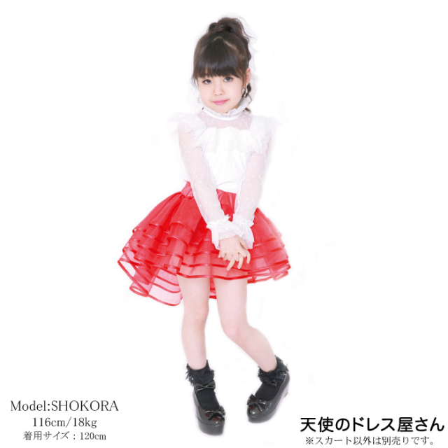 Peacherrys シャトンローズパニエ ダンス衣裳 ペチコート・チュチュ