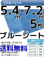 ブルーシート
