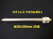 ケミカルボルト アンカーボルト ステンレス SUS M20×250mm 25本 寸切ボルト1本 ナット2個 ワッシャー1個 Vカット 両面カット SUS304 ケミカルボルト「1度のご注文で1個(25本)迄」「取寄せ品」