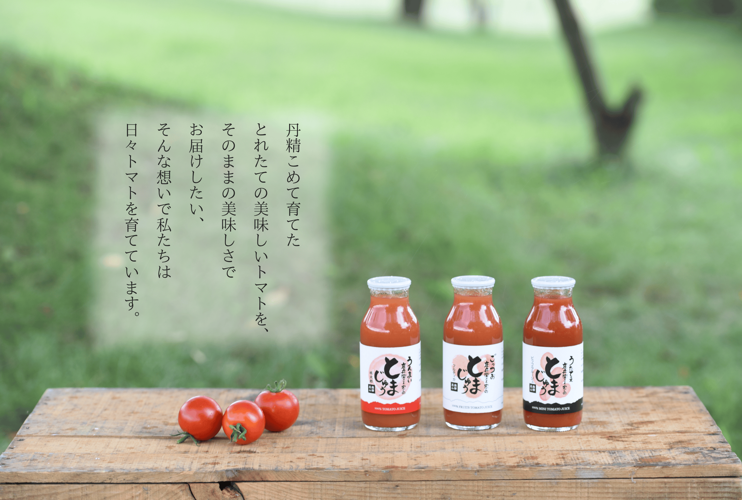 EC用トップ画像　とまじゅう(桃)