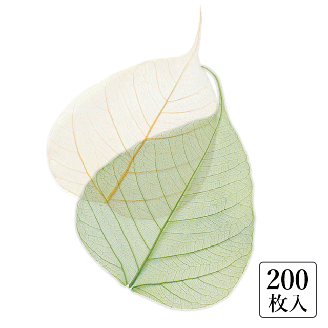菩提樹の葉 菩提樹葉 純金箔 サイズ(約)：縦27.5cm 横20cm 幅2cm 菩提樹の葉 菩提樹葉 純金箔 サイズ(約)：縦27.5cm 横20cm