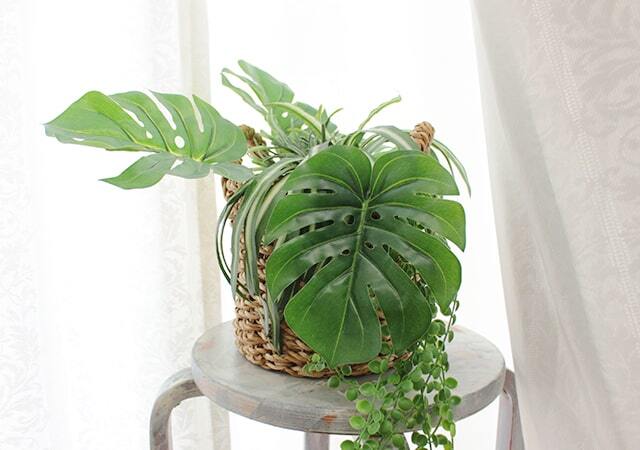【オーダーレース】11062 植物の葉によるダマスク模様がエレガント トップ画像