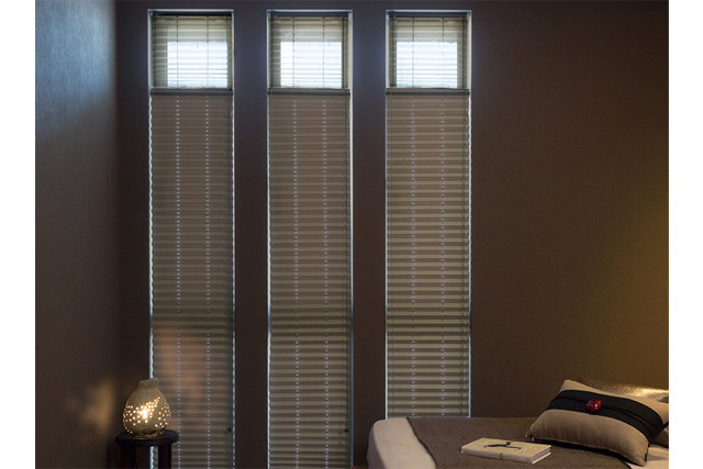 ニチベイプリーツスクリーン】プレト/みなもII ツインスタイル