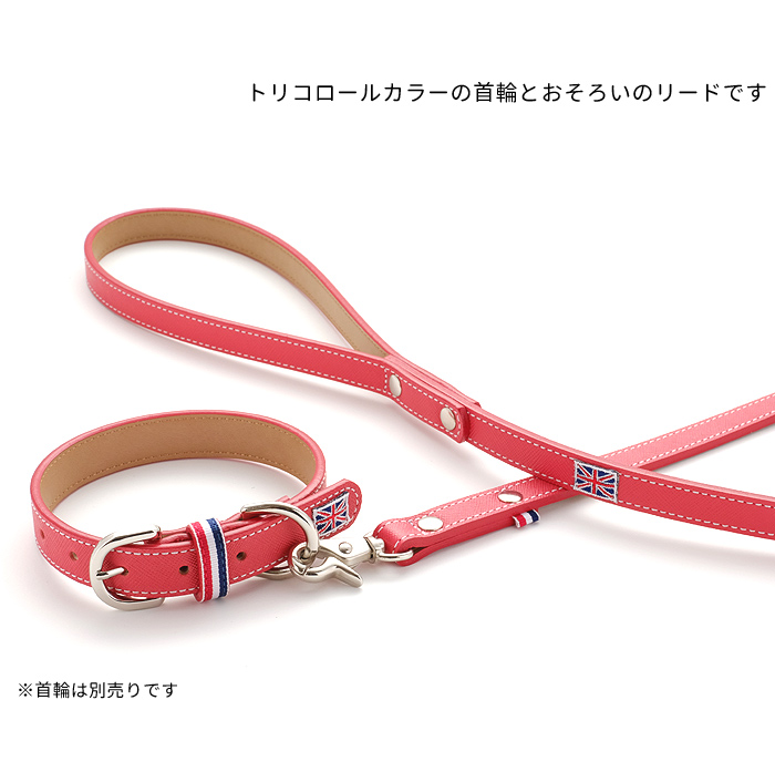 犬　リード 中型犬用 小型犬用 ファーストレーベルNo.4 鮮やか4色カラー LE-04