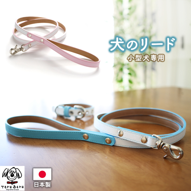 Ｌｅ－10　ホースビット＆コンビカラーお揃いリード