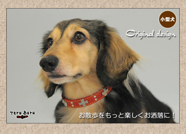 犬の首輪屋「てるべる」小型犬首輪