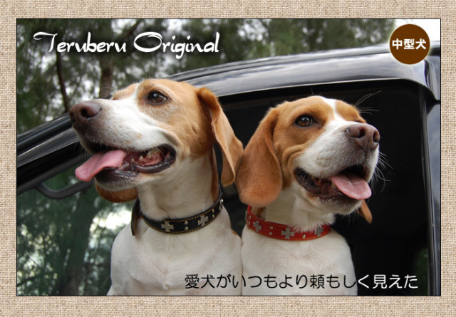 犬の首輪屋「てるべる」中型犬首輪
