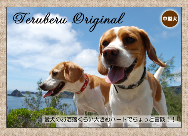 犬の首輪屋「てるべる」中型犬首輪