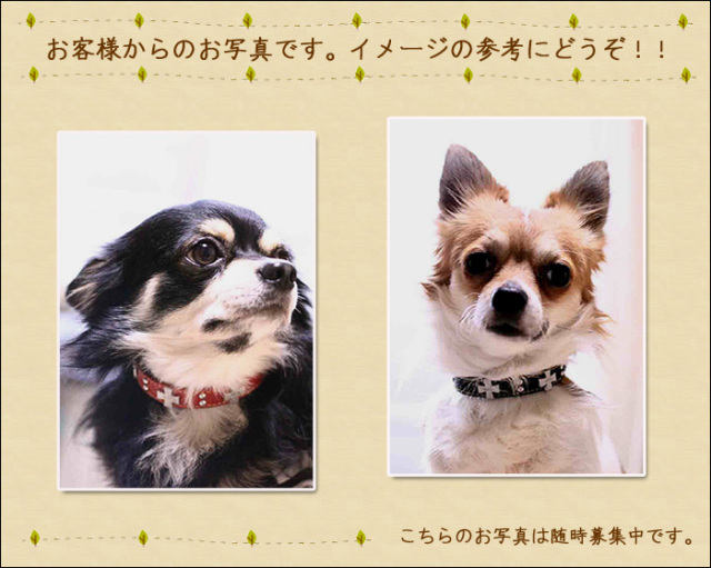犬の首輪屋「てるべる」小型犬首輪